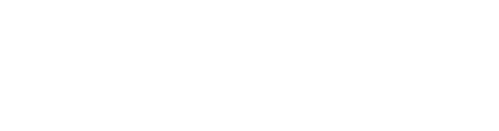 ZWOELVA-LOGO-weiss-300dpi