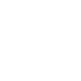 ZWOELVA Menü Icon für Hauptspeise